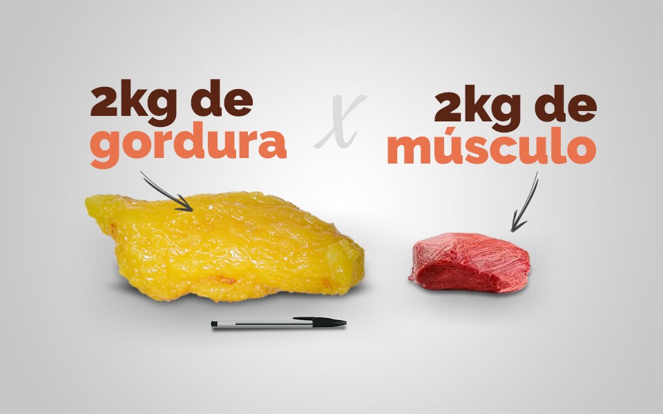 Gordura VS Músculo
