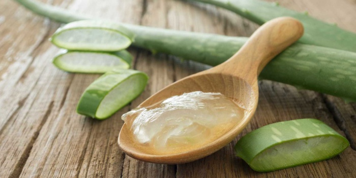 Dieta de Aloe Vera Emagrece até 8 KG em 1 Mês